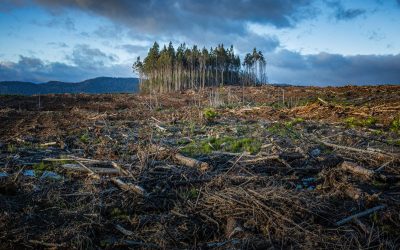 Un an de groaza pentru schimbarea climatica